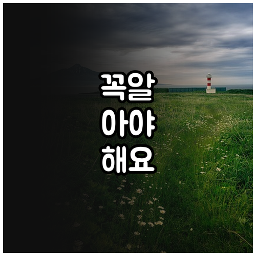 2025 안양시 태양광 사업 비용 지..