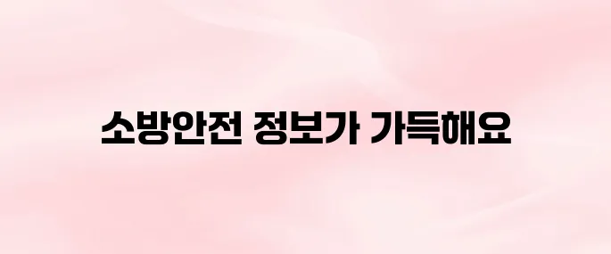 한국소방안전원 홈페이지 (www.kfsi.or.kr/)