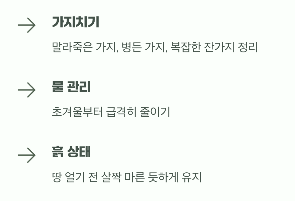 겨울맞이 가지치기와 물 관리