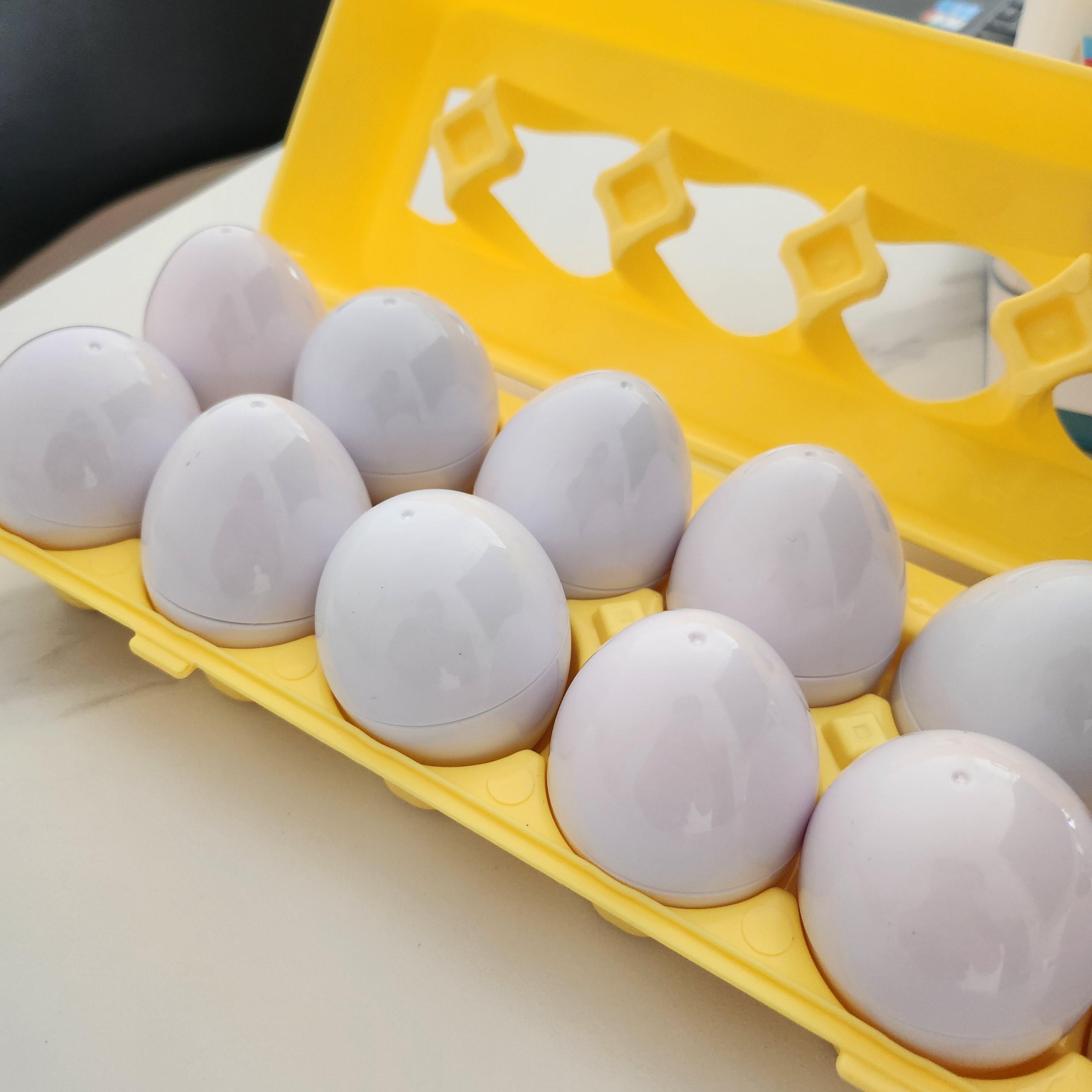 아기-놀이-장난감-계란