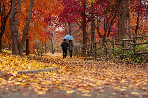 화담숲 성수기 예약방법