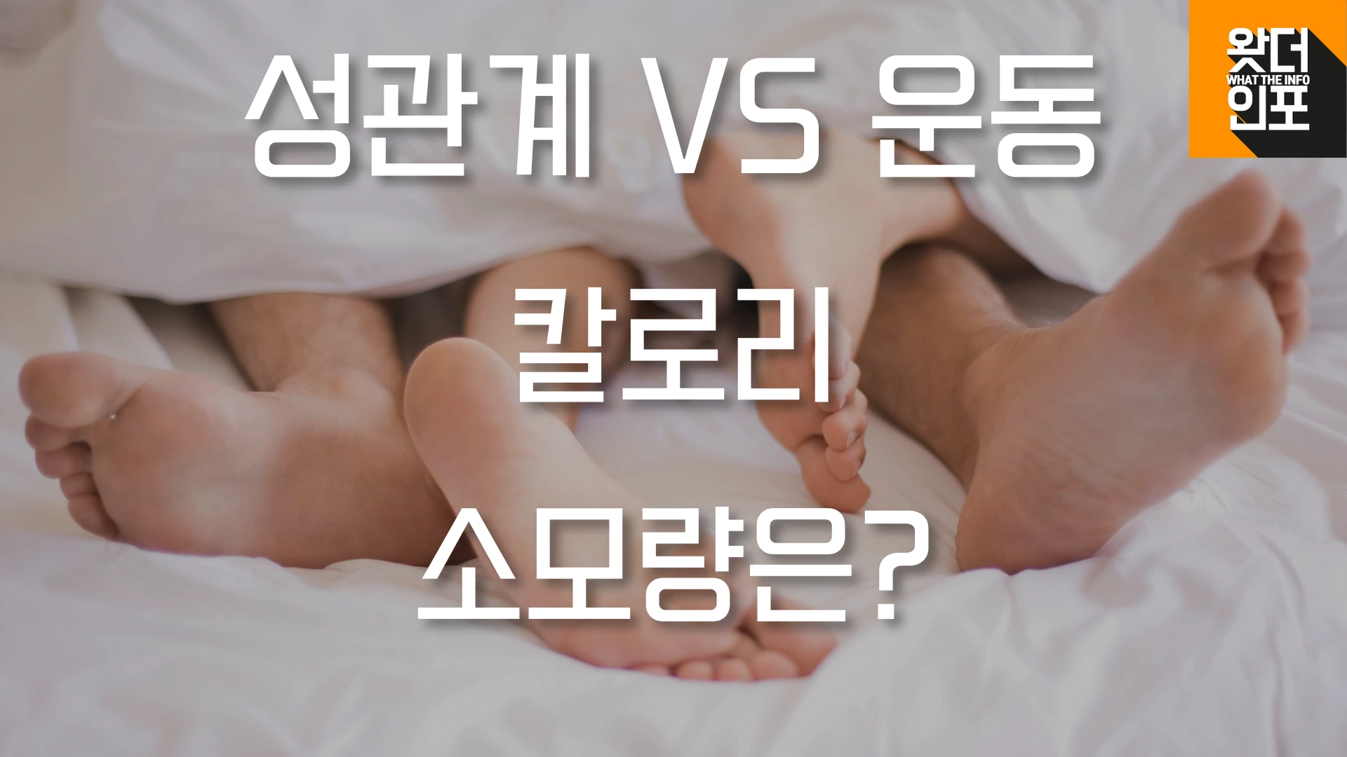 성관계, 운동 중 칼로리 소모량는 뭐가 더 많을까?