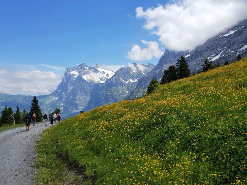 스위스융프라우_한국인가이드투어3