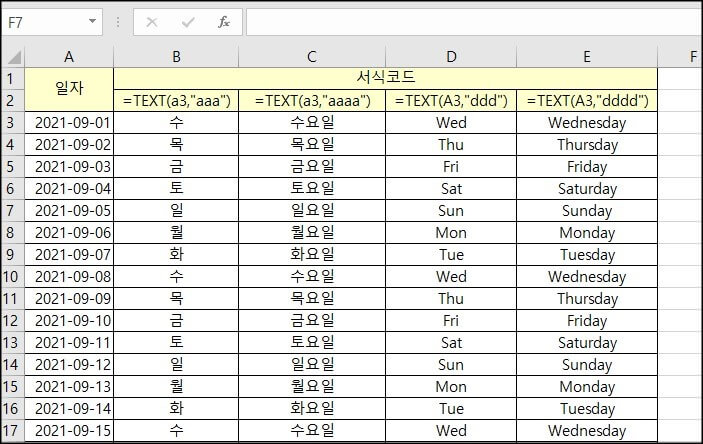 TEXT-서식코드-사용방법