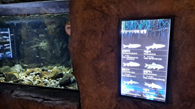 단풍명소_화담숲_자연생태관