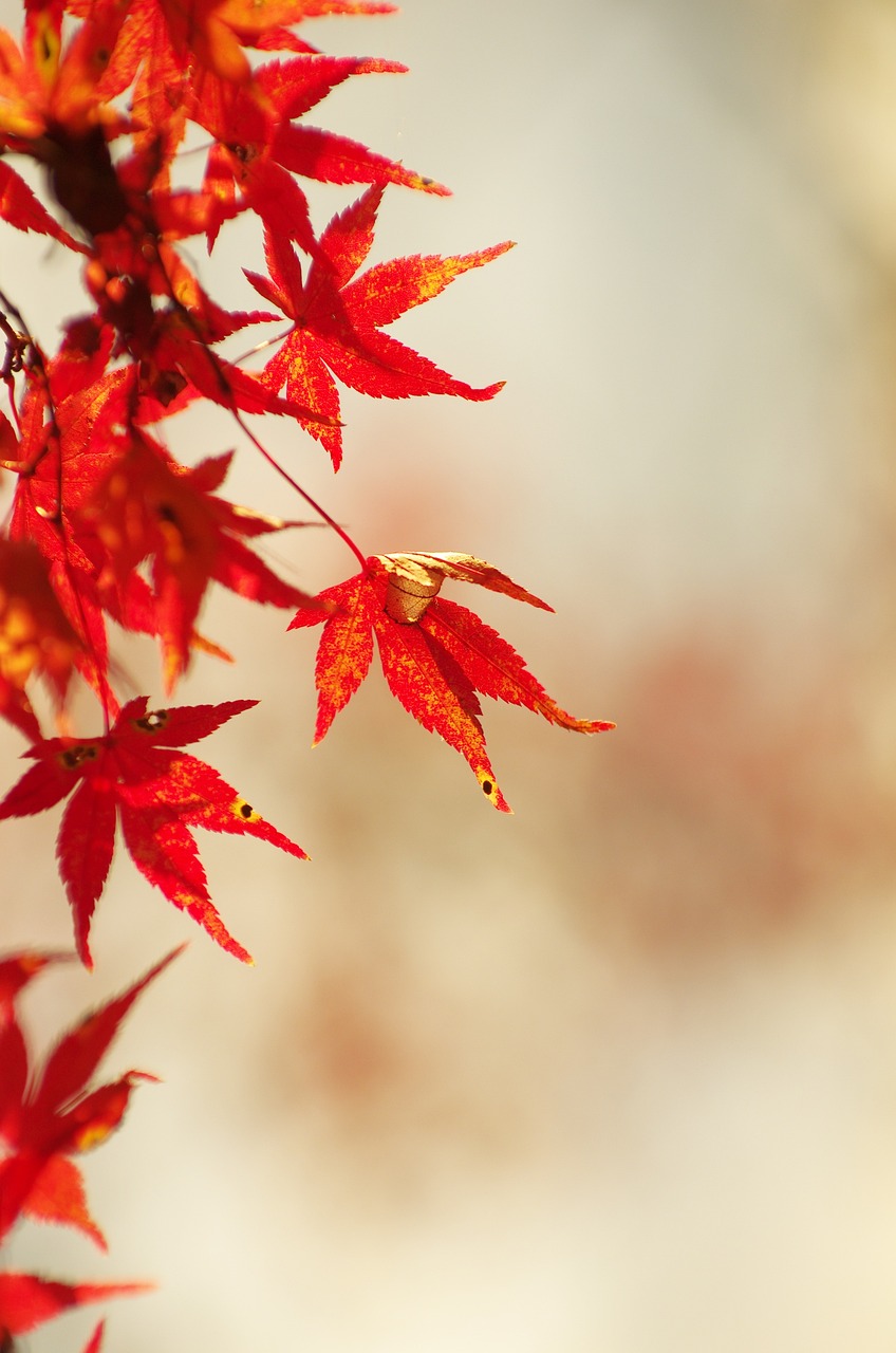 등산