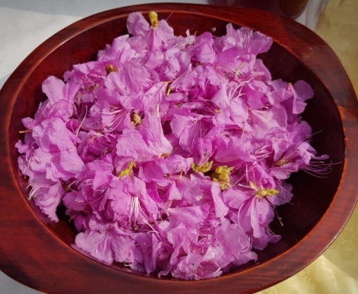 한국의 떡 종류 화전-꽃잎들