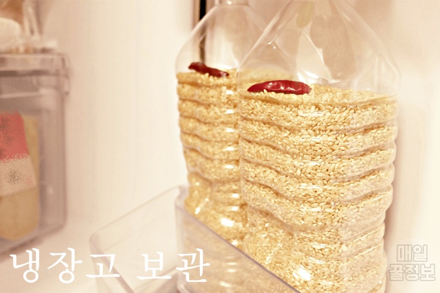 쌀벌레 생기는 이유, 쌀 쌀벌레 없애는법,쌀벌레 애벌레, 바구미, 쌀 보관방법 보관법, 팁줌 매일꿀정보