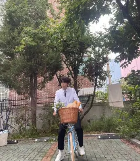 임영웅님의 갤러리