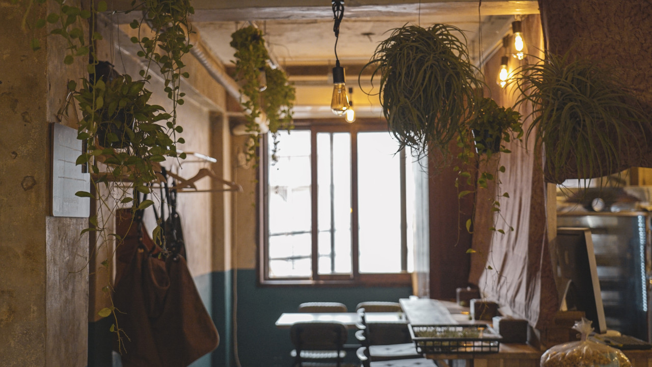 6시내고향 군산 황금박대&amp;#44; 해방촌 신흥시장 타코&amp;#44; 대구&amp;#44; 통닭