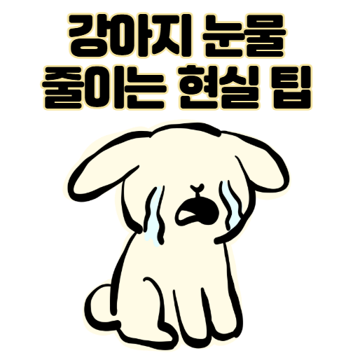 강아지 눈물 줄이는 현실적인 관리 방법. 이미 생긴 자국은 이렇게 하세요.
