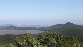 장봉도 운항요금