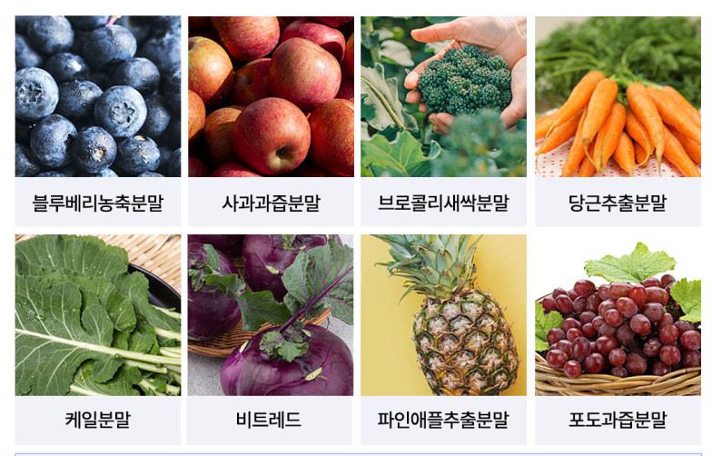 레디웰 유산균
