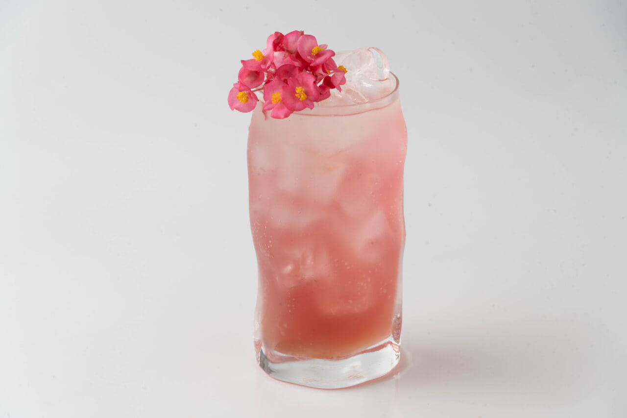 6시 내고향 충남 청양의 식용 꽃 카페 꽃이 머무는 자리 (꽃차, 꽃비빔밥, 꽃김밥 맛집)