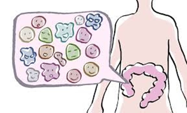 방귀가 많이 나오는 이유