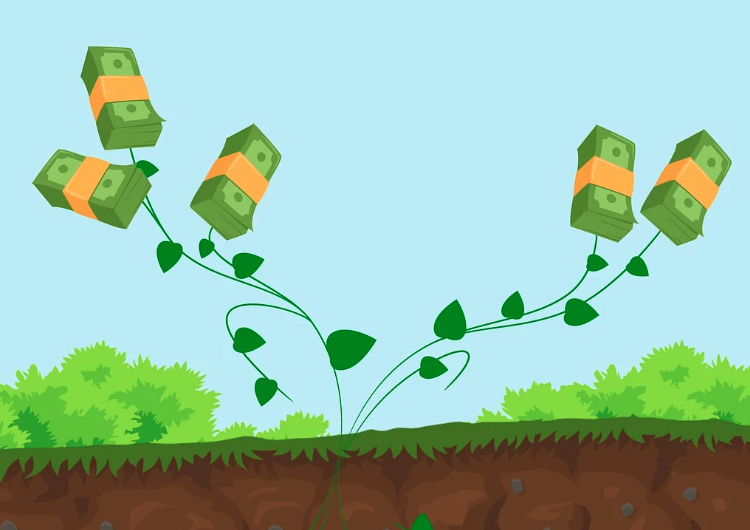 2025 민생회복 소비쿠폰