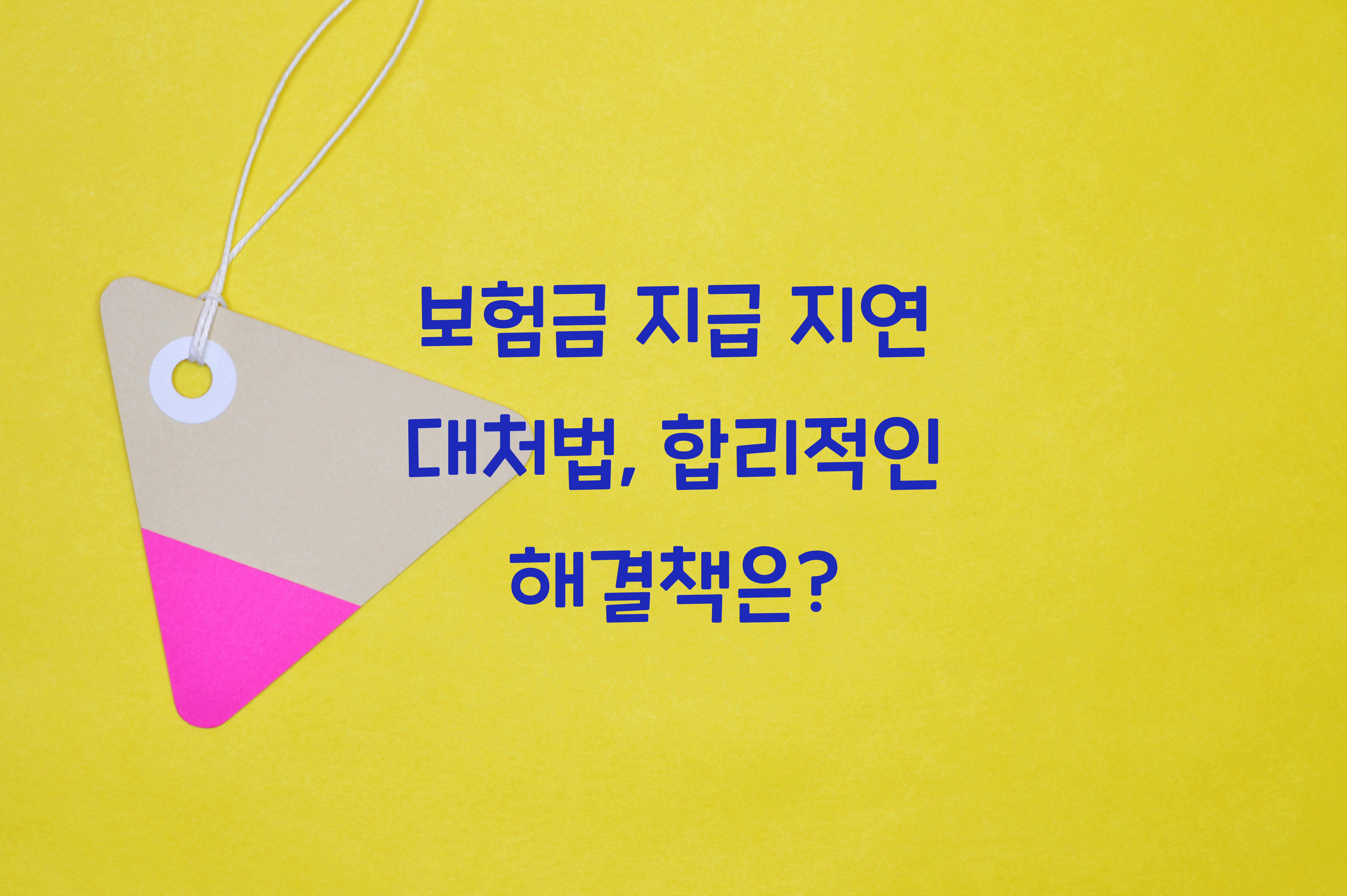 보험금 지급 지연 대처법