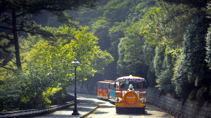 태종대 다누비열차 코스