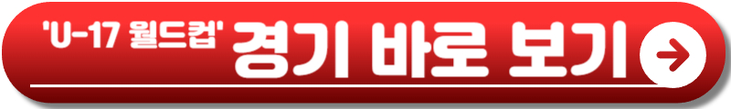 u17 월드컵