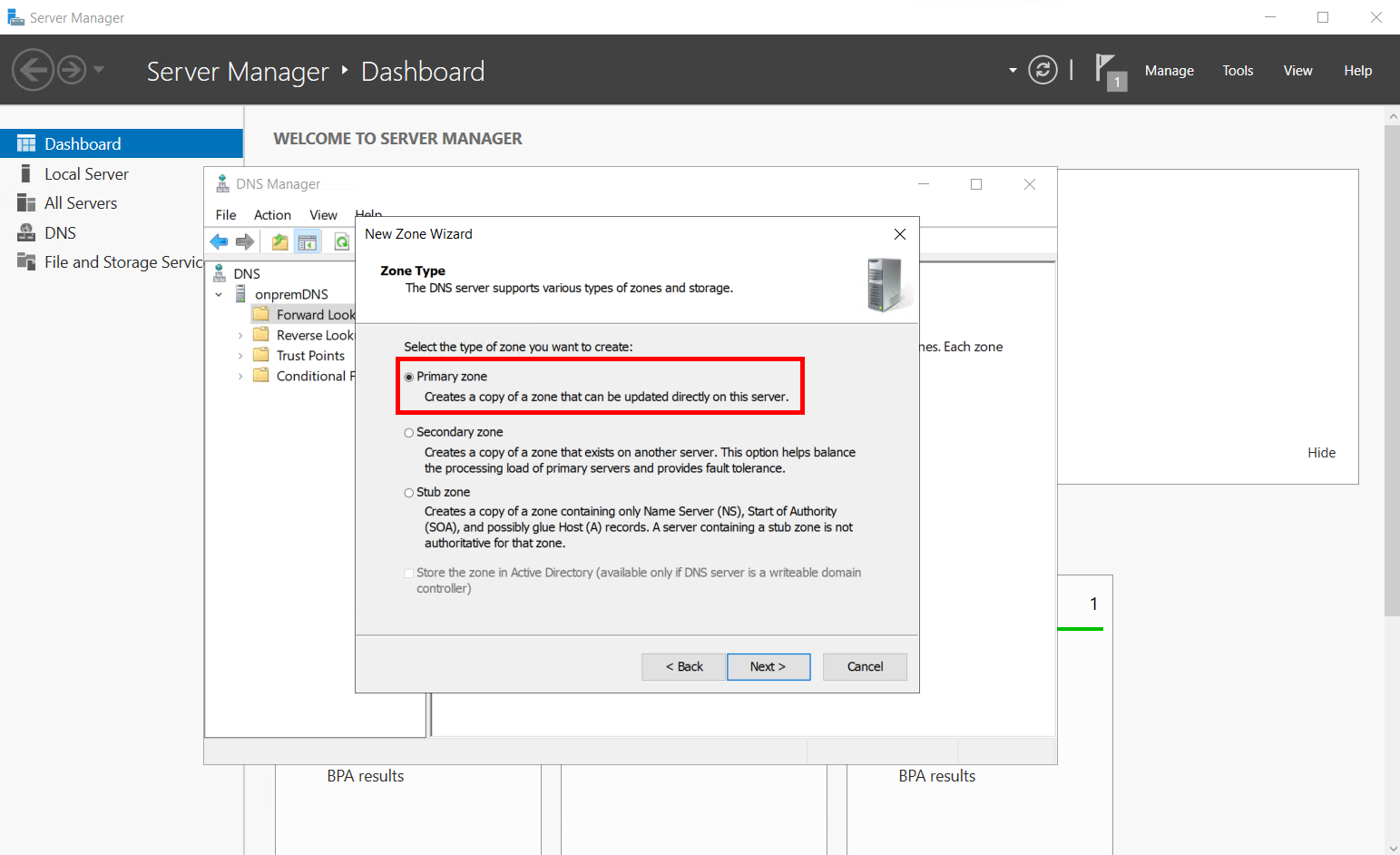 Windows DNS New Zone Wizard에서 Primary Zone 선택 화면
