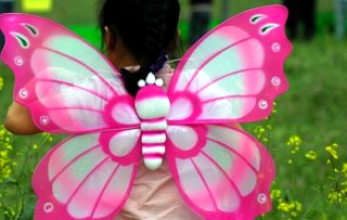 함평 나비축제 &amp;#124; 기간 입장료 초대가수 황금박쥐 주차장