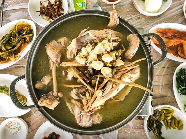 순천 계곡 맛집 추천 닭백숙 물놀이