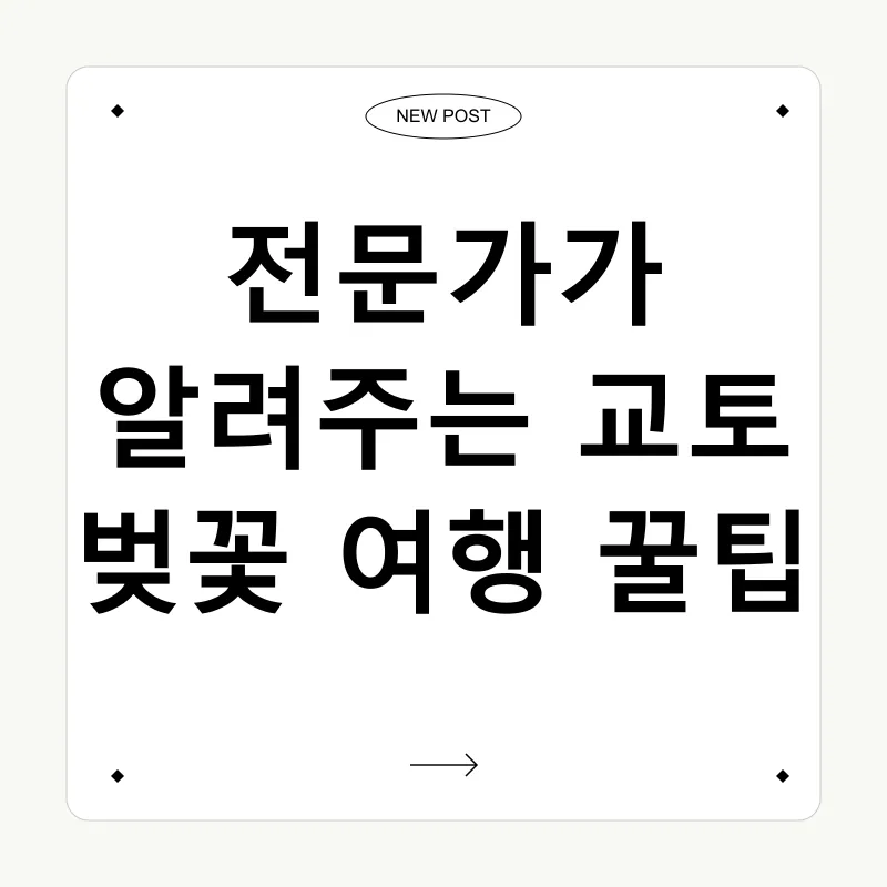 교토 벚꽃 여행_3