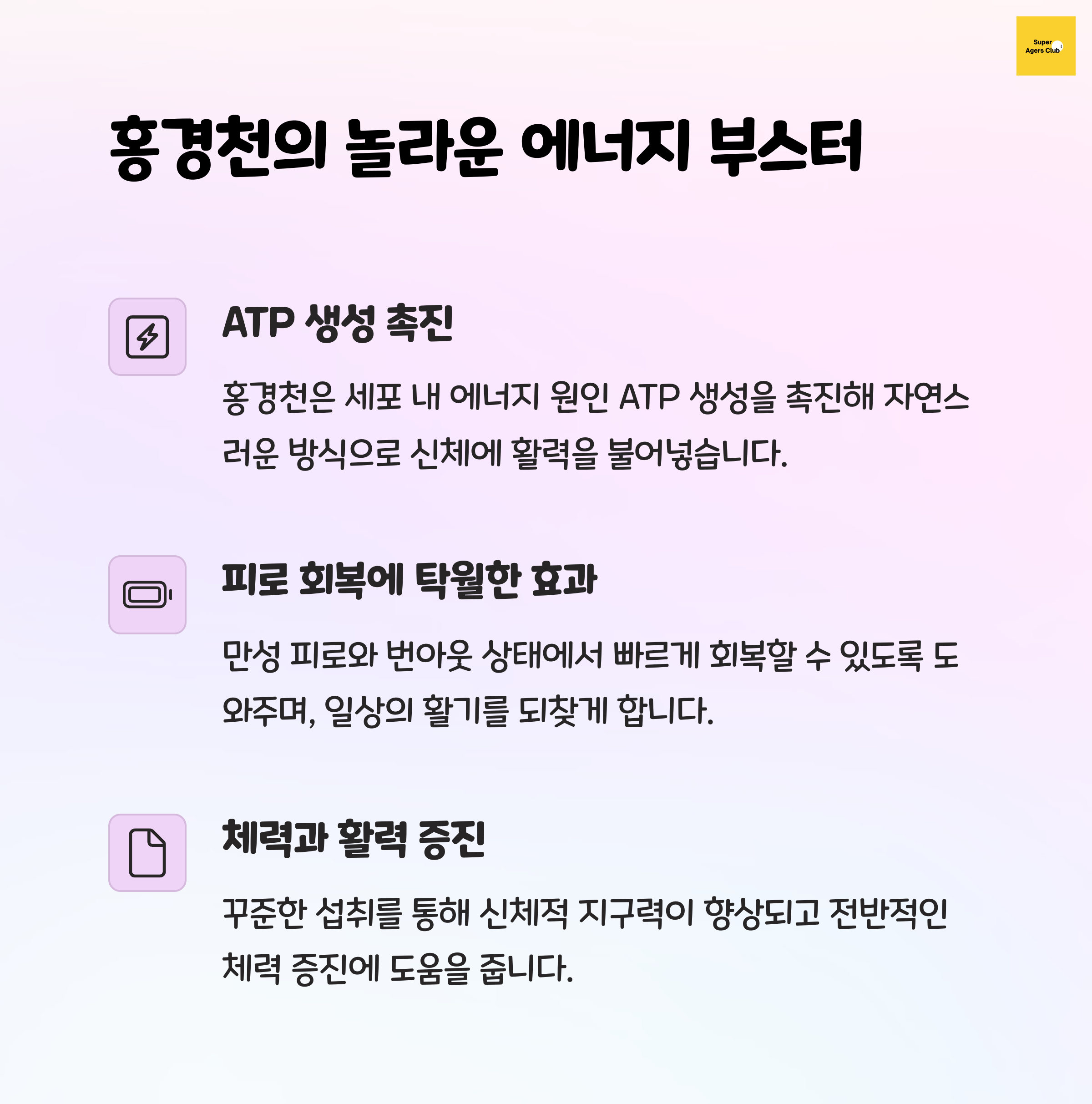 홍경천의 효능을 ‘에너지 부스터’로 소개하는 이미지. ATP 생성 촉진, 피로 회복, 체력과 활력 증진의 주요 효과가 아이콘과 함께 설명되어 있음.