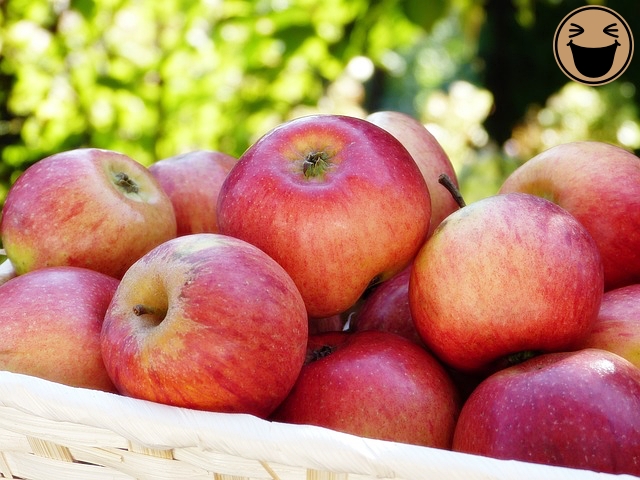 당뇨에 좋은 식이섬유