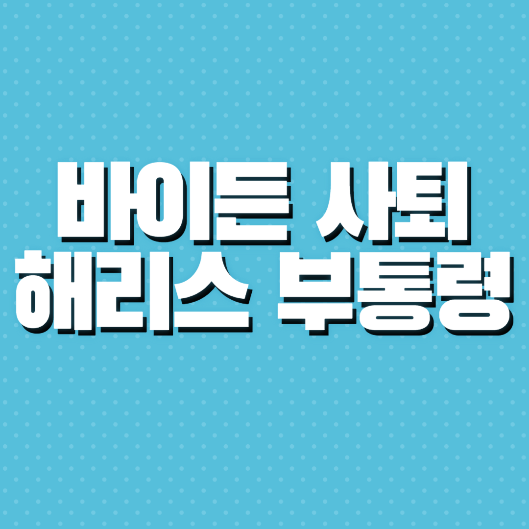 해리스 부통령
