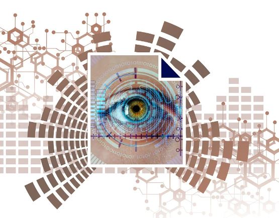 신분확인을 위한 여권&amp;#44; 지문&amp;#44; 동공인식 사진