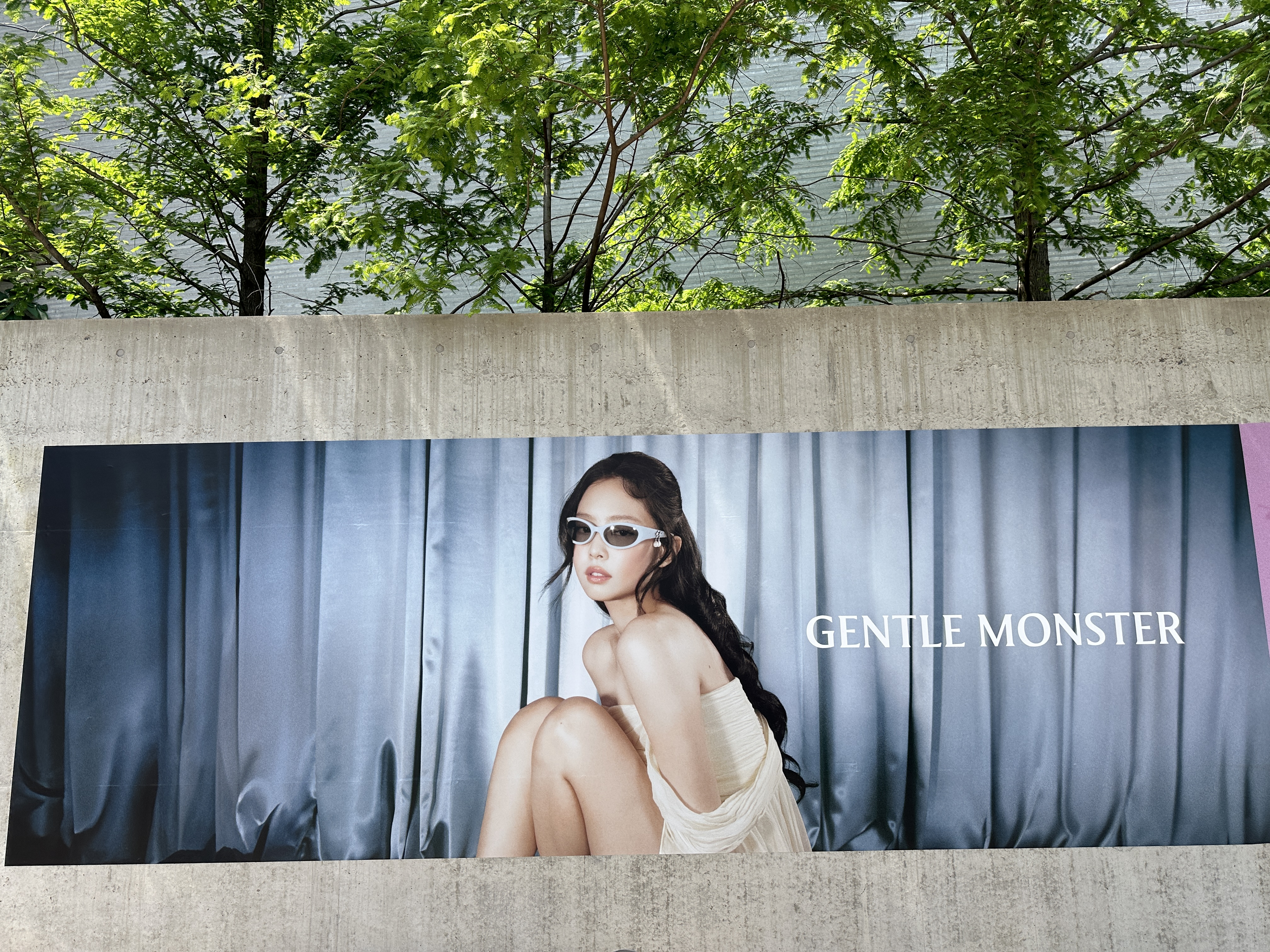 젠틀몬스터 X 제니