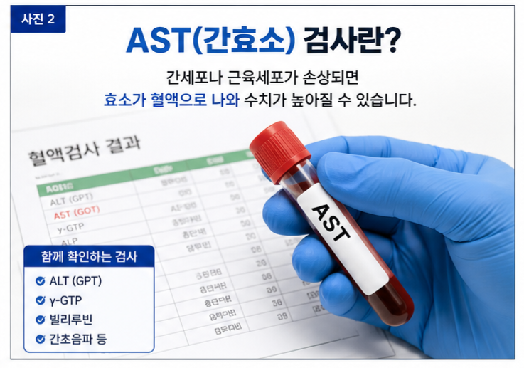 성별 연령별 AST 정상수치 비교표