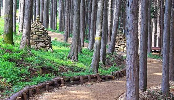 사천케이블카 자연휴양림