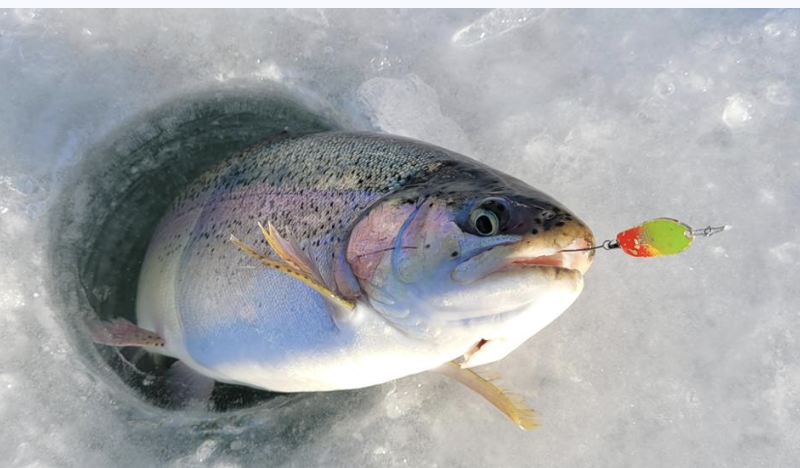 홍천강꽁꽁축제