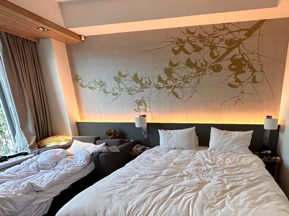 King Room with a Sofa Bed