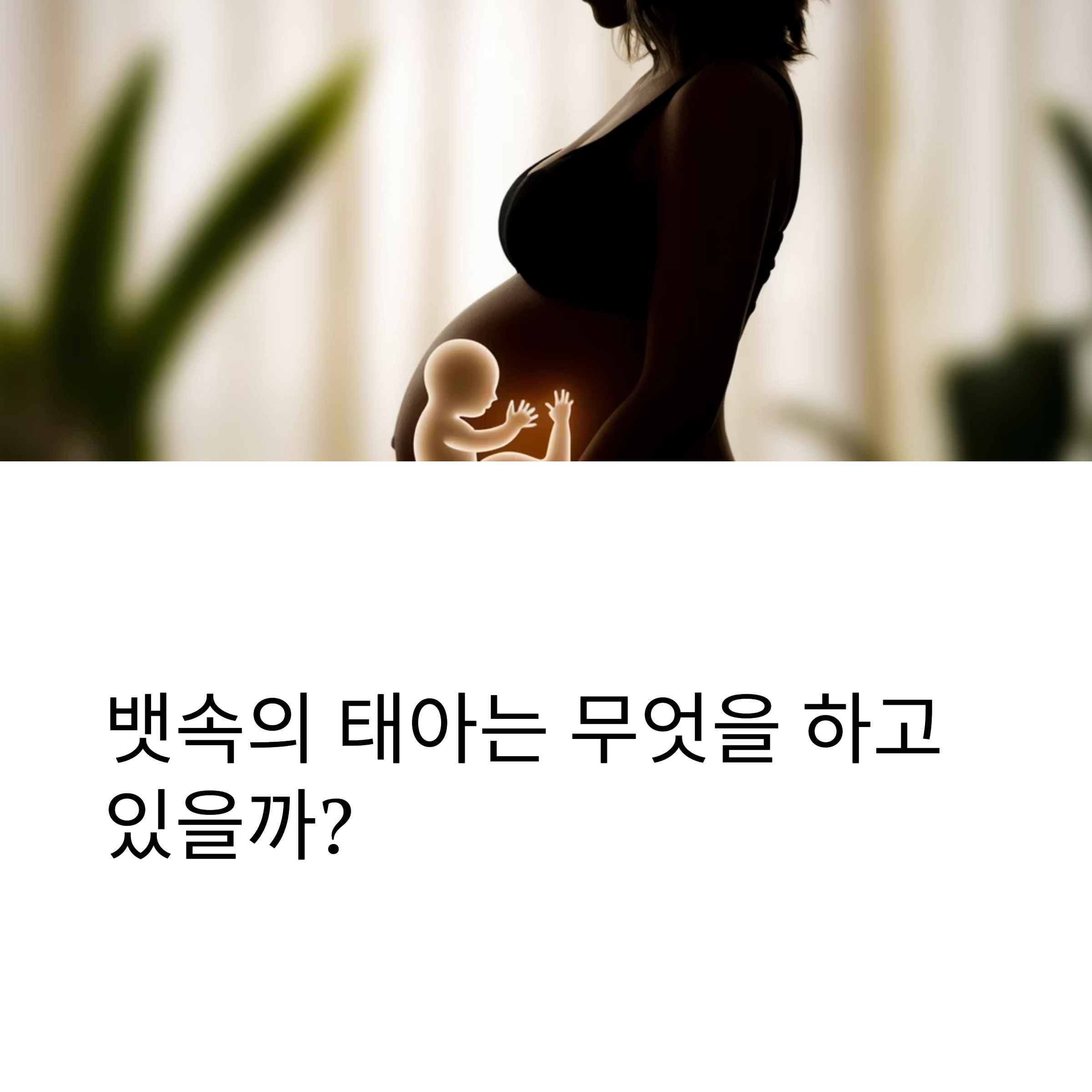 태아 활동 &ndash; 태아는 무엇을 하고 있을까 대표 이미지