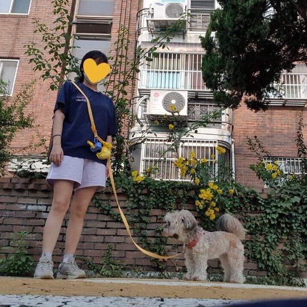 크로스로 멘 리드줄2