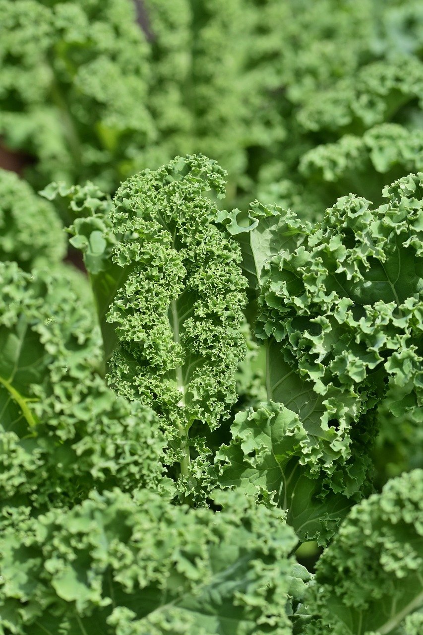 여러 비티민 많이 들어간 음식 BEST 3