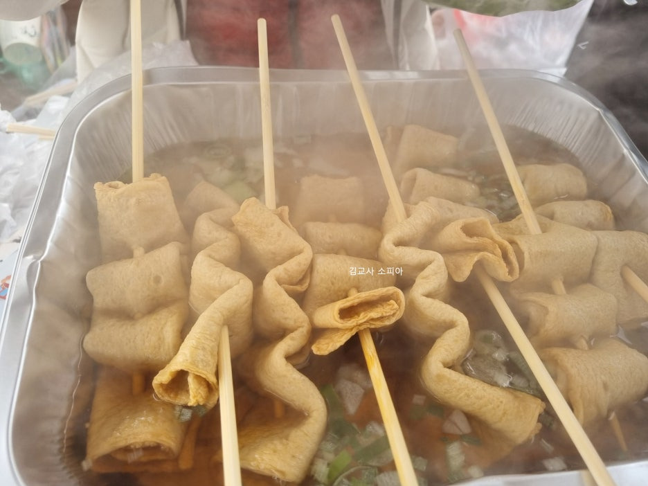 고양피크닉시민 공원 이용 후기 🏞️🌿&amp; 팁