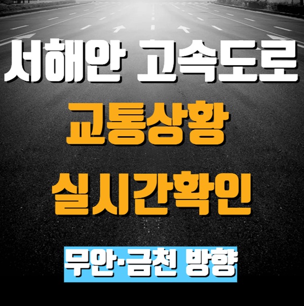 서해안고속도로 교통상황 실시간 확인|무안·금천 방향