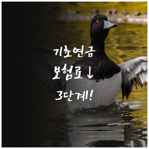 기초연금 건강보험료 부담 줄이는 3단..