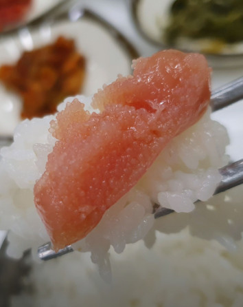 극한직업 논산 강경 젓갈백반 맛집 정보