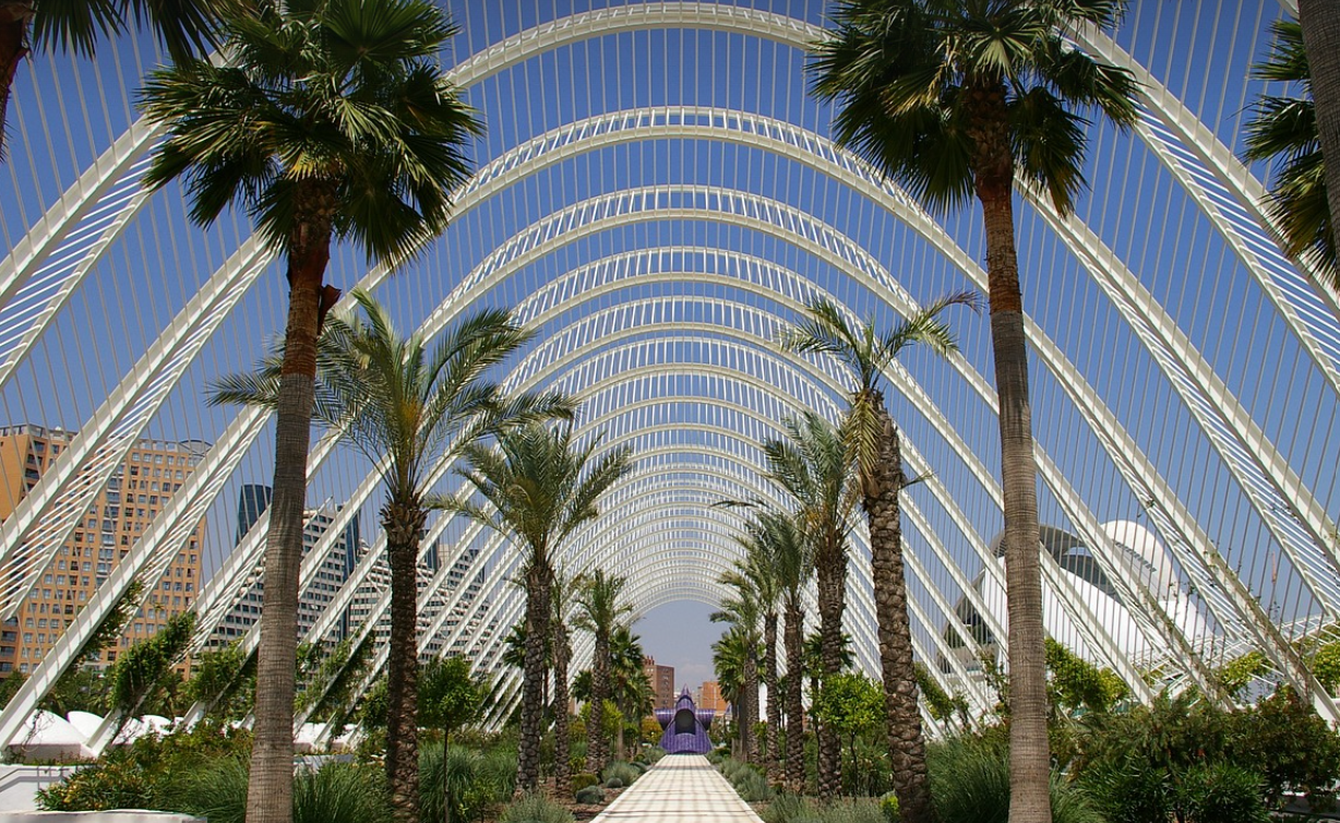 여름의 유럽(야자수가 깔린 예쁜 도로)