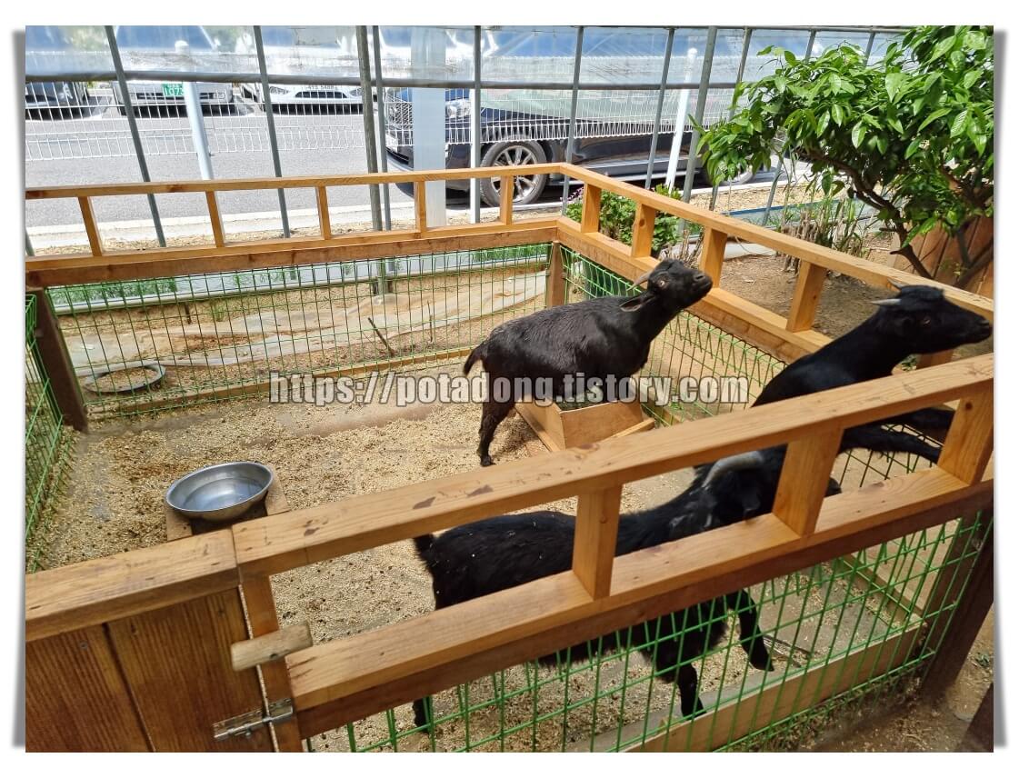 동천자연식물원