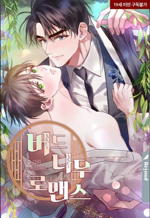 버드나무로맨스