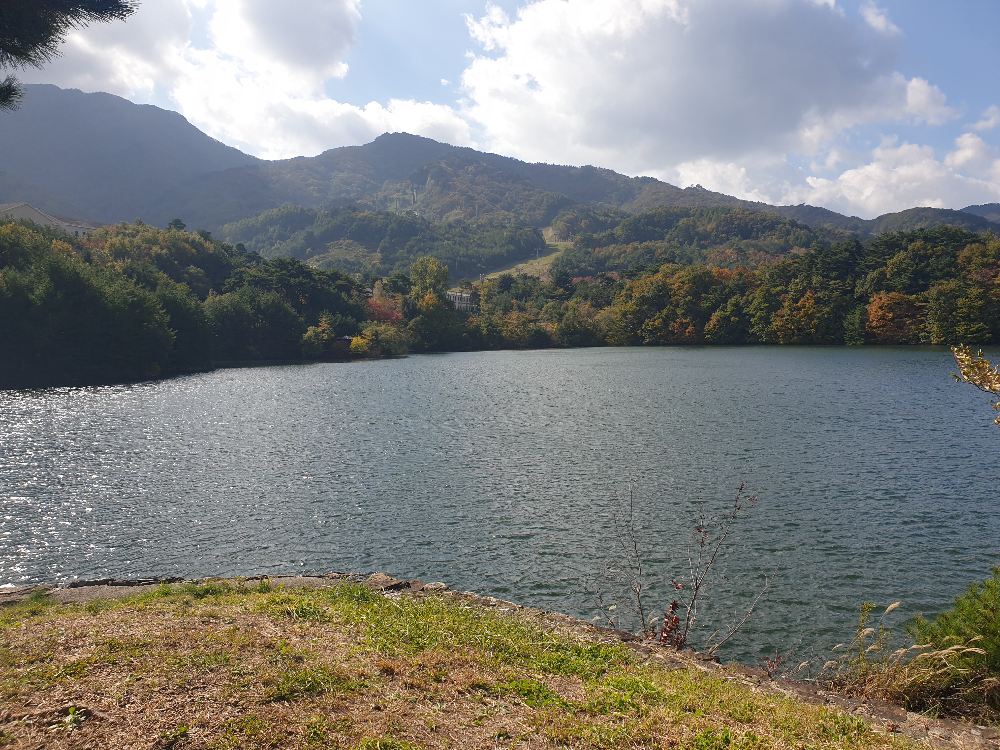 호수 건너편 나무들은 약간 울긋불긋하다. 호수 앞 잔디는 노랗게 변했다.