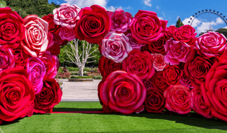 시그니처 포토스팟