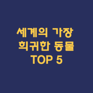 세계의 가장 희귀한 동물 TOP 5