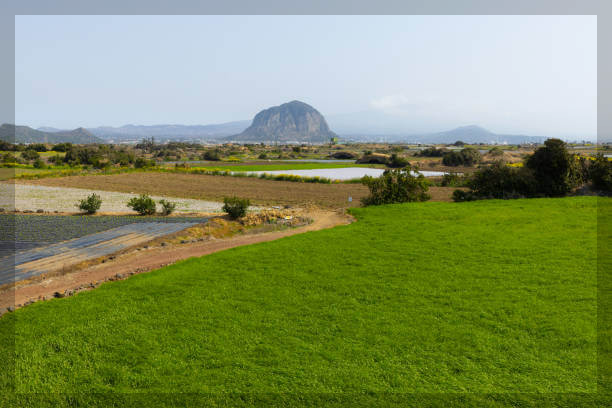 제주항공 예약 방법과 유용한 팁